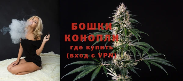 стаф Гатчина
