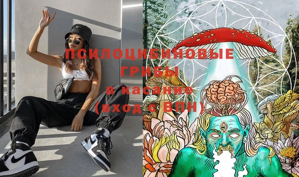 марки nbome Грязовец