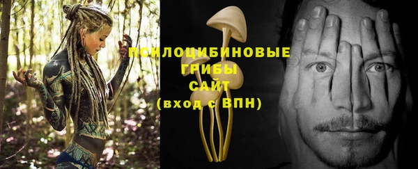 первитин Пестово