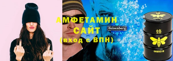 стаф Гатчина