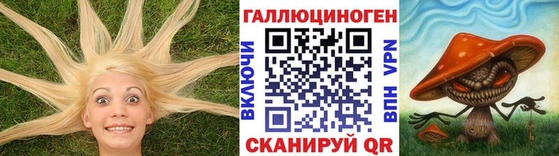 Псилоцибиновые грибы GOLDEN TEACHER  закладка  Калининец 